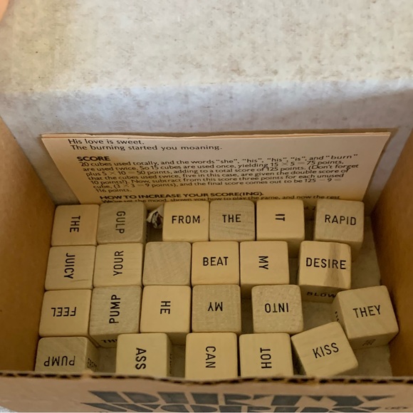 Dirty Words: The Game in the Plain Brown Wrapper Adult Dice Game w/ Instructions - Picture 3 of 4